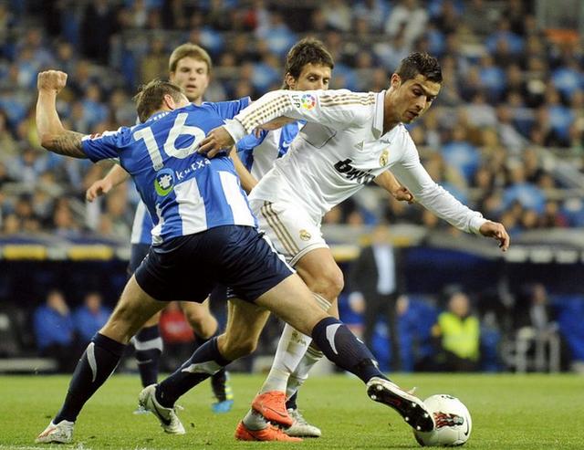 动物油精炼设备