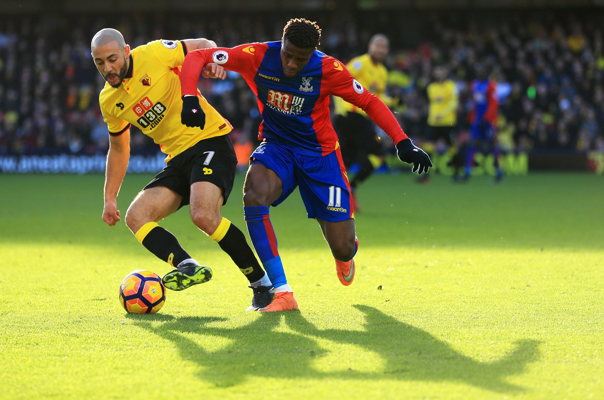 30吨植物油精炼设备