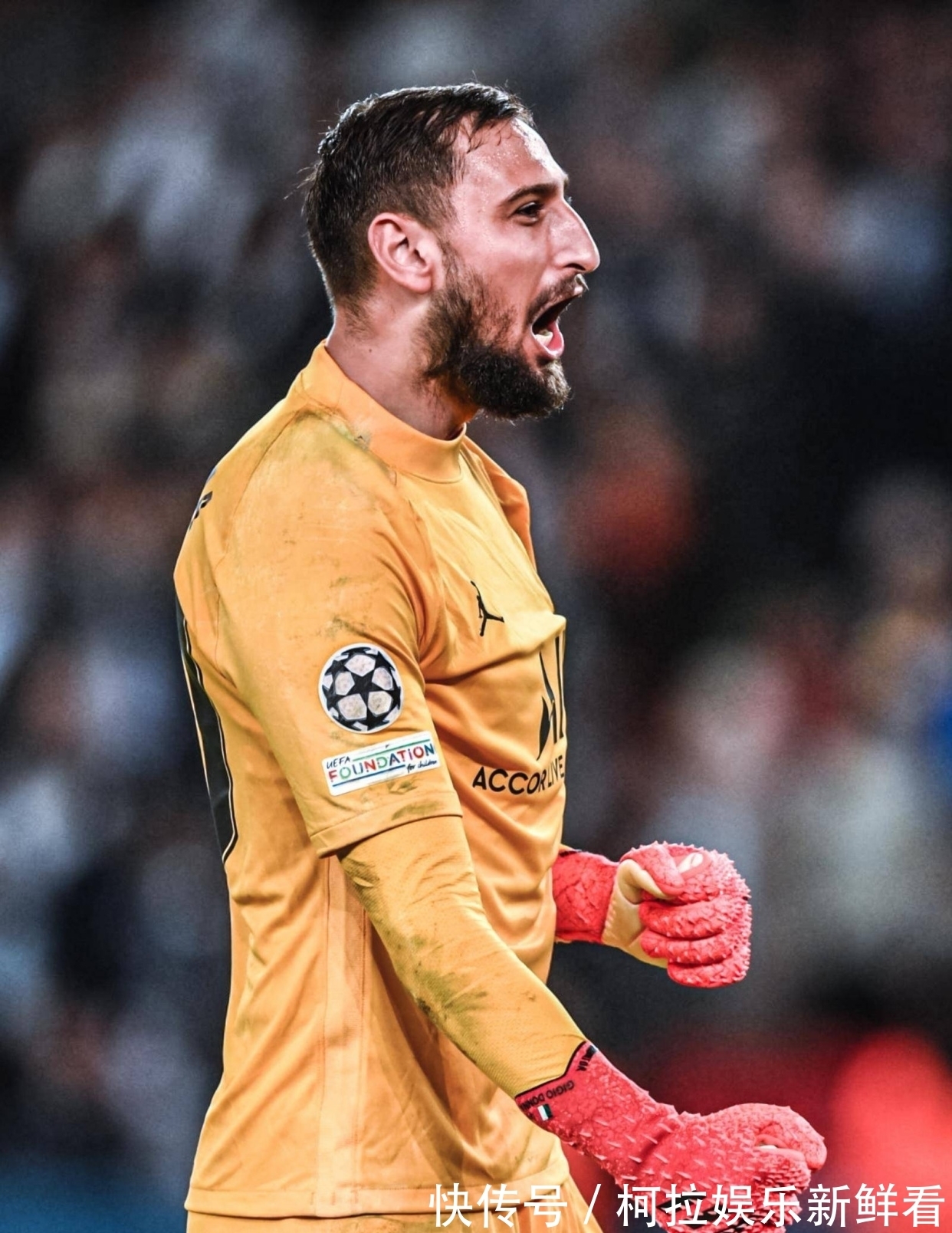 动物油精炼设备