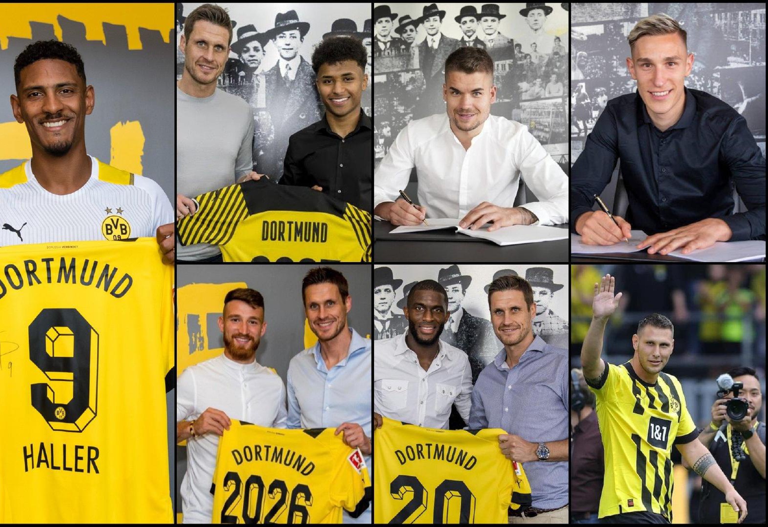 动物油精炼设备