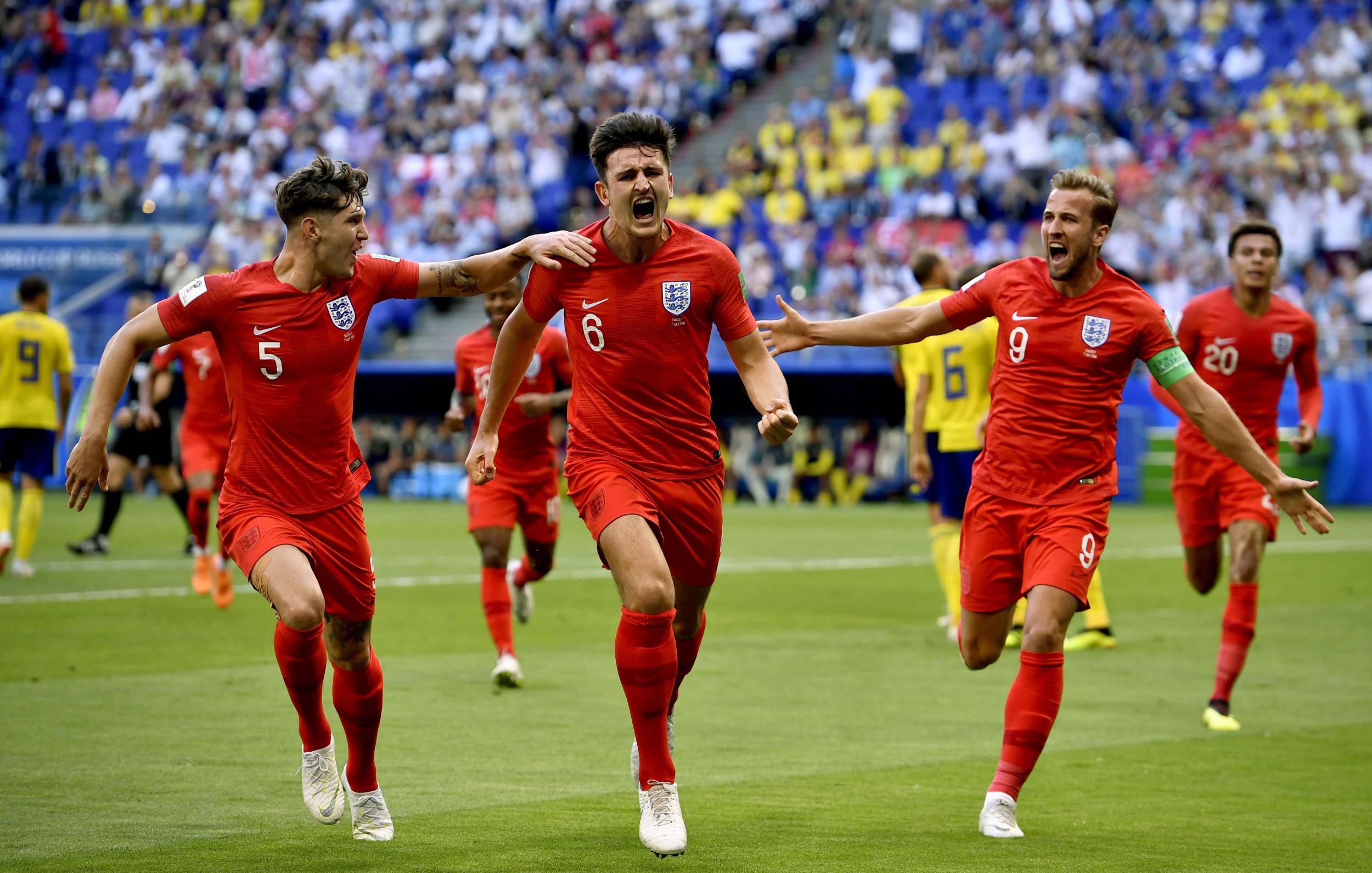 30吨植物油精炼设备